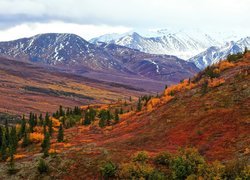 Góry, Jesień, Kolorowe, Krzewy, Alaska, Stany Zjednoczone