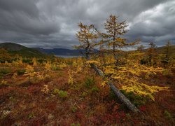 Drzewa, Góry, Jezioro, Jesień, Chmury, Kołyma, Obwód magadański, Rosja