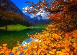 Jesień nad jeziorem w Szwajcarii