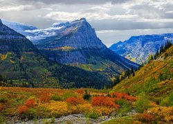 Park Narodowy Glacier, Góry Skaliste, Jesień, Kolorowe, Rośliny, Montana, Stany Zjednoczone