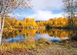 Jesień z kolorowymi drzewami nad jeziorem