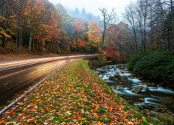 Jesienna droga wzdłuż rzeki