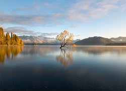 Jezioro Wanaka, Drzewo, Góry, Jesień, Nowa Zelandia