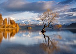 Jezioro Wanaka, Drzewo, Góry, Jesień, Chmury, Nowa Zelandia