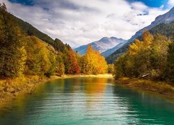 Rzeka, Drzewa, Jesień, Góry, Alpy Retyckie, Przełęcz Reschenpass