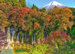 Jesienne drzewa nad wodospadami na tle góry Fudżi