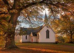 Drzewo, Jesień, Kościół, Christ Church, Liście, Region Hawkes Bay, Nowa Zelandia