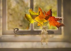 Jesienne liście w szklanym wazoniku na parapecie okna