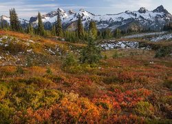 Jesienny krajobraz Parku Narodowego Mount Rainier