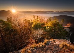 Wschód słońca, Góry, Jesień, Roślinność, Sulov, Słowacja