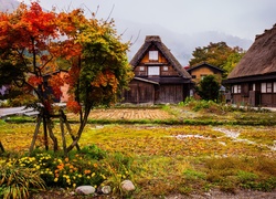 Jesienny krajobraz z wiejskimi zabudowaniami