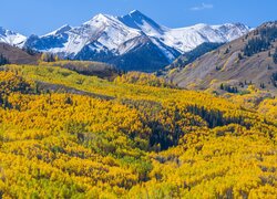 Stany Zjednoczone, Kolorado, Góry, Capitol Peak, Las, Drzewa, Jesień