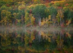 Jesienny las nad zamgloną rzeką