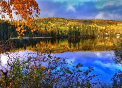 Jesienny las odbijający się w jeziorze