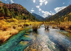 Chiny, Park Narodowy Jiuzhaigou, Jesień, Las, Góry, Jezioro Arrow Bamboo, Drzewa