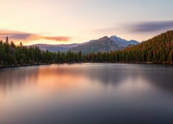 Góry Skaliste, Jezioro Bear Lake, Park Narodowy Gór Skalistych, Kamienie, Drzewa, Kolorado, Stany Zjednoczone