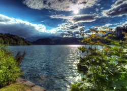 Słowenia, Jezioro Bled, Drzewa, Promienie słońca, Góry, Alpy Julijskie, Skały, Zamek Bled