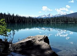 Jezioro, Emerald Lake, Kamień, Głaz, Drzewa, Góry, Park Narodowy Yoho, Prowincja, Kolumbia Brytyjska, Kanada