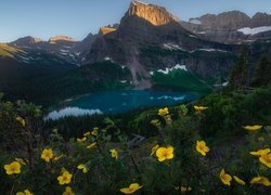 Stany Zjednoczone, Stan Montana, Park Narodowy Glacier, Góry, Jezioro, Grinnell Lake, Las, Żółte, Kwiaty