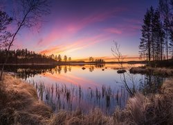 Finlandia, Gmina Ruovesi, Park Narodowy Helvetinjarvi, Jezioro Haukkajarvi, Drzewa, Zachód słońca