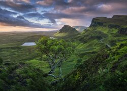 Góry, Wzgórza, Jeziora, Drzewo, Chmury, Wyspa Skye, Wzgórze Quiraing, Szkocja