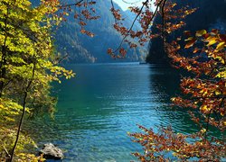 Jezioro Konigssee, Park Narodowy Berchtesgaden, Statek, Drzewa, Gałęzie, Bawaria, Niemcy