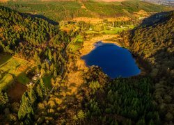Jezioro Lower Lake, Wzgórza, Las, Park Narodowy Gór Wicklow, Irlandia