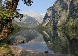 Drzewo, Góry, Jezioro Obersee, Park Narodowy Berchtesgaden, Niemcy