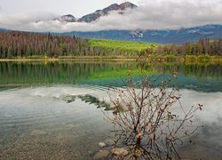 Jezioro Patricia Lake w Parku Narodowym Jasper