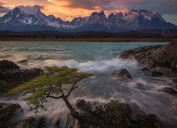 Wschód słońca, Góry, Cordillera del Paine, Jezioro, Pehoe Lake, Skały, Drzewo, Park Narodowy Torres del Paine, Patagonia, Chile