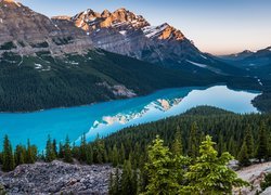 Jezioro Peyto w kanadyjskim Parku Narodowym Banff