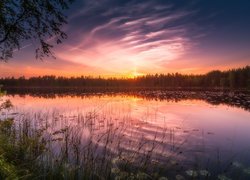 Finlandia, Gmina Ruovesi, Park Narodowy Helvetinjärvi, Jezioro Siikajärvi, Zachód słońca, Drzewa