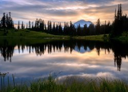 Jezioro, Tipsoo Lake, Park Narodowy Mount Rainier, Stratowulkan Mount Rainier, Drzewa, Wschód słońca, Chmury, Stan Waszyngton, Stany Zjednoczone