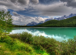 Jezioro z widokiem na las i góry