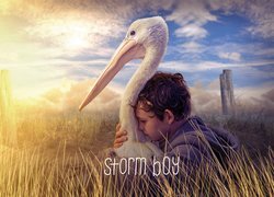 Film, Storm Boy, Chłopiec z burzy, Chłopiec, Pelikan