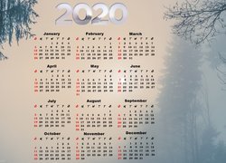 Kalendarz, 2020, Drzewa, Mgła