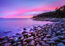 Morze, Brzeg, Kamienie, Drzewa, Niebo, Różowe, Zachód słońca, Bluestone Bay, Tasmania, Australia