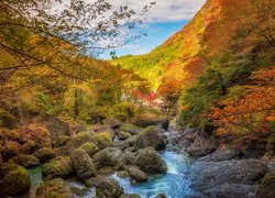 Kamienie na górskiej rzece wśród kolorowych jesiennych drzew