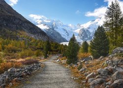 Kamienista droga w górach na tle ośnieżonych Alp