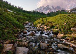 Park Narodowy Mount Rainier, Rzeka, Kamienie, Góry, Szczyt Mount Rainier, Stan Waszyngton, Stany Zjednoczone