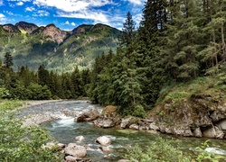 Kamienista rzeka płynąca pośród górskiego lasu