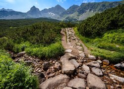 Kamienna ścieżka na Hali Gąsienicowej w Tatrach