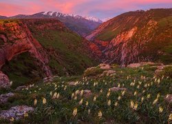 Kazachstan, Rezerwat przyrody Aksu-Zhabagly, Kanion rzeki Aksu, Góry, Zachód słońca