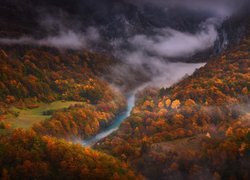 Czarnogóra, Kanion Rzeki Tary, Rzeka Tara, Wąwóz, Jesień, Drzewa, Góry, Mgła
