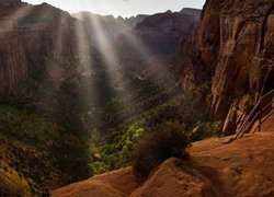 Kanion, Zion Canyon, Promienie słońca, Rośliny, Skały, Park Narodowy Zion, Dolina, Stan Utah, Stany Zjednoczone
