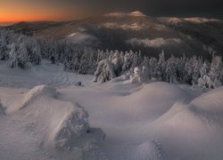 Zima, Zaspy, Śnieg, Drzewa, Góry, Las, Karkonosze, Polska