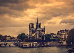 Katedra Notre Dame i domy nad Sekwaną w Paryżu