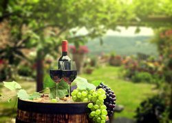 Kieliszki wina i winogrona na beczce z rozmytym ogrodem w tle