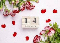 Kwiaty, Róże, Klocki, Data, 14 luty, Walentynki