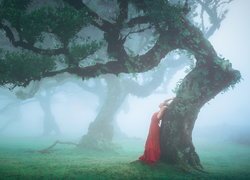 Drzewa, Las, Mgła, Kobieta, Czerwona, Sukienka